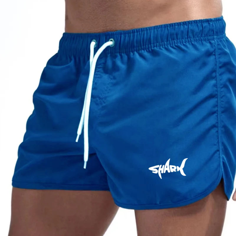 Men'S Summer Mesh Quick Drying Sports Shorts Casual Breathable Beach Pants For Outdoor Running Fitness