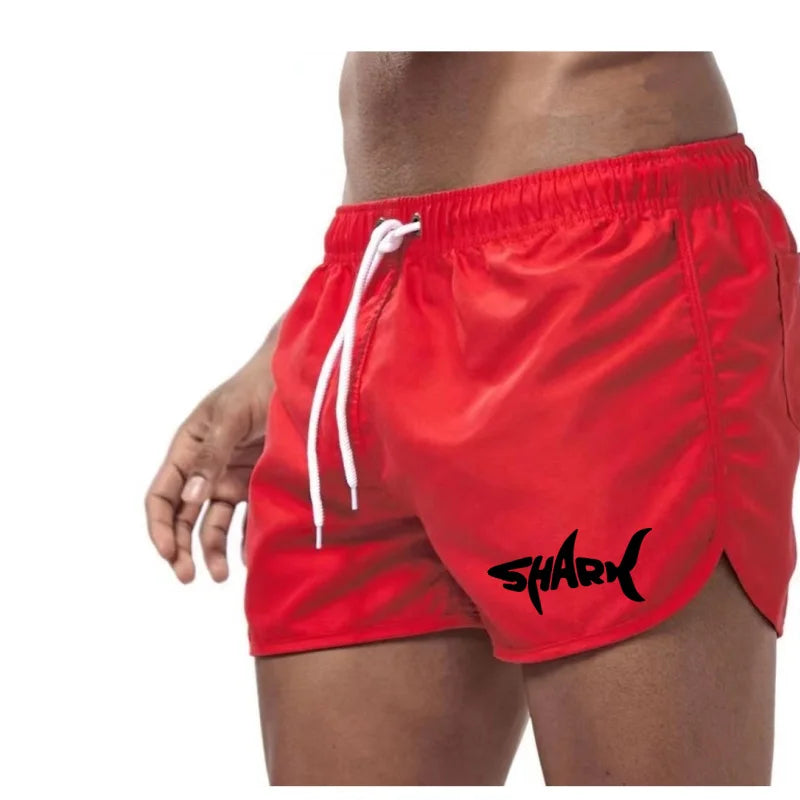 Men'S Summer Mesh Quick Drying Sports Shorts Casual Breathable Beach Pants For Outdoor Running Fitness