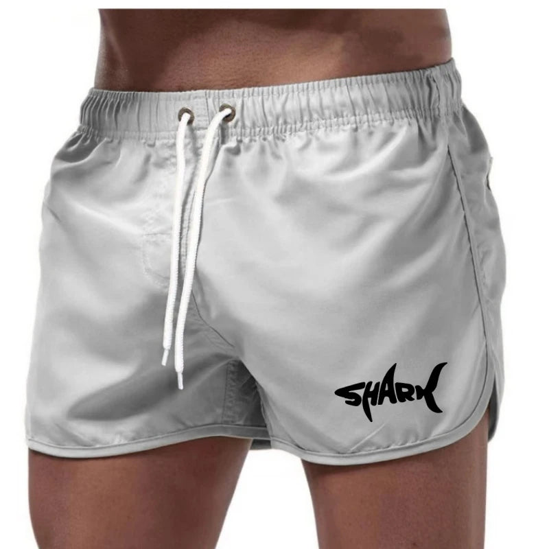 Men'S Summer Mesh Quick Drying Sports Shorts Casual Breathable Beach Pants For Outdoor Running Fitness