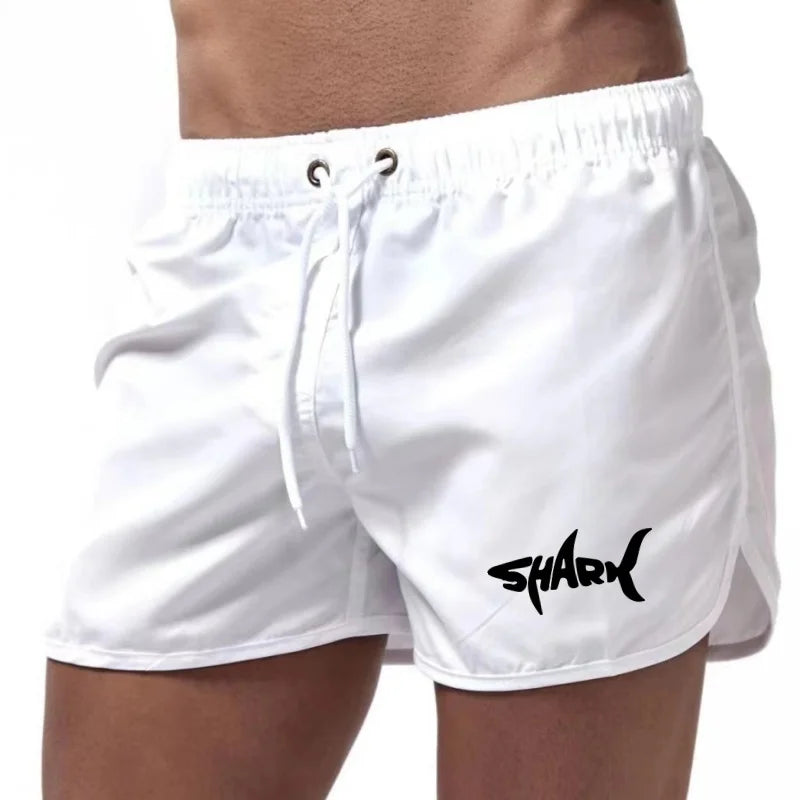 Men'S Summer Mesh Quick Drying Sports Shorts Casual Breathable Beach Pants For Outdoor Running Fitness