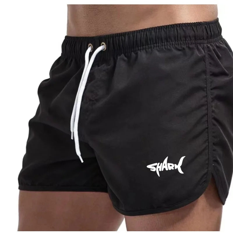 Men'S Summer Mesh Quick Drying Sports Shorts Casual Breathable Beach Pants For Outdoor Running Fitness