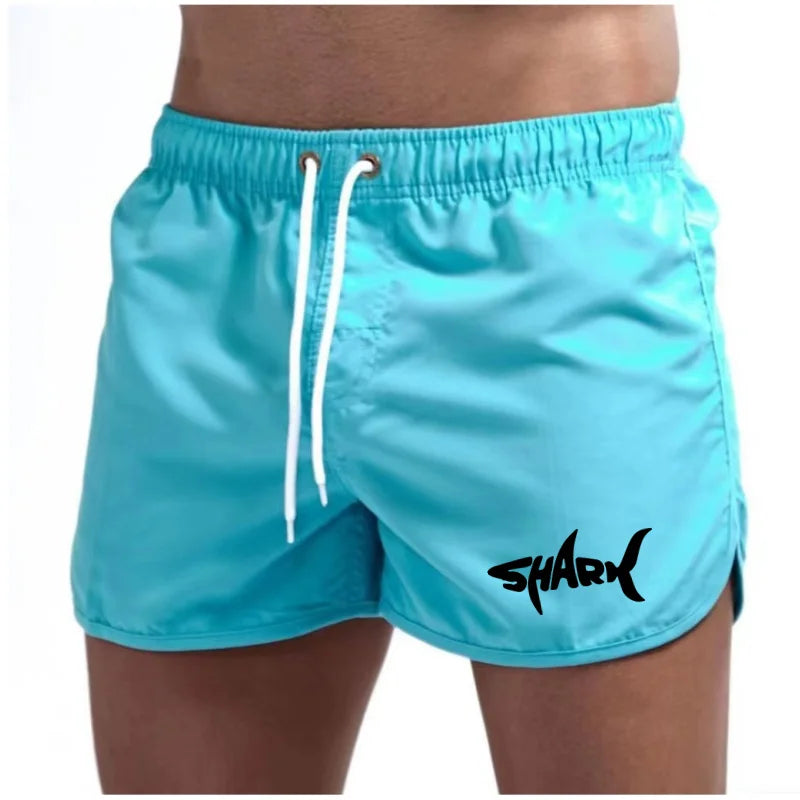 Men'S Summer Mesh Quick Drying Sports Shorts Casual Breathable Beach Pants For Outdoor Running Fitness