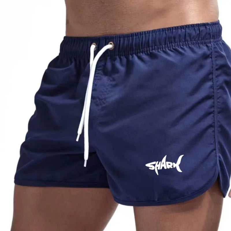 Men'S Summer Mesh Quick Drying Sports Shorts Casual Breathable Beach Pants For Outdoor Running Fitness