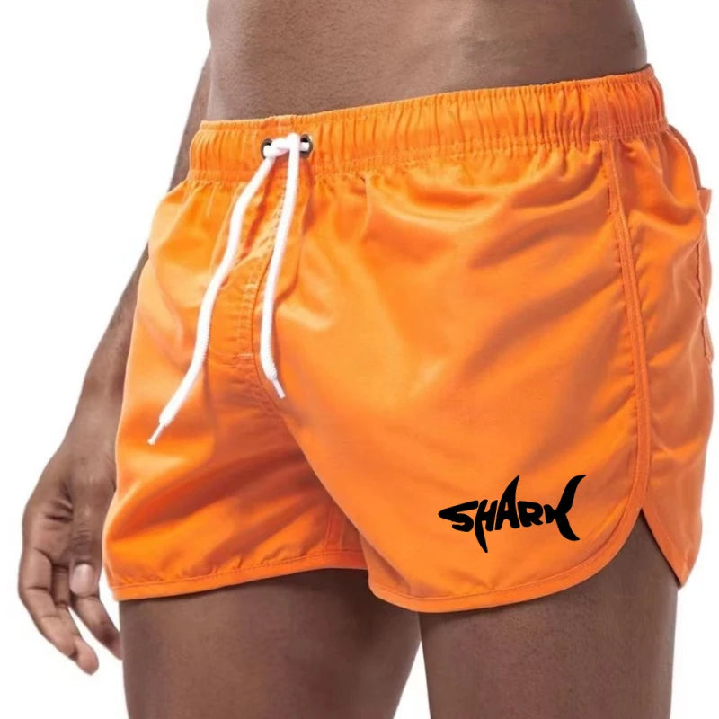 Men'S Summer Mesh Quick Drying Sports Shorts Casual Breathable Beach Pants For Outdoor Running Fitness
