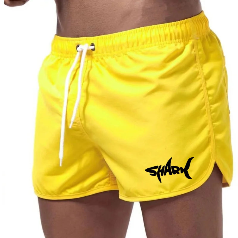 Men'S Summer Mesh Quick Drying Sports Shorts Casual Breathable Beach Pants For Outdoor Running Fitness